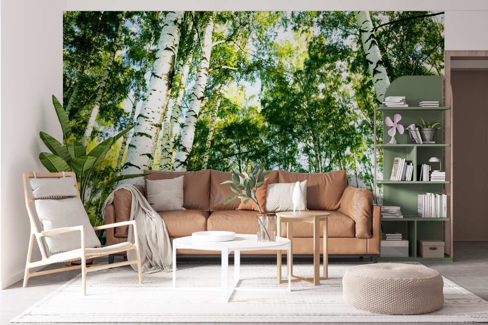 Fototapeta brzozowy las