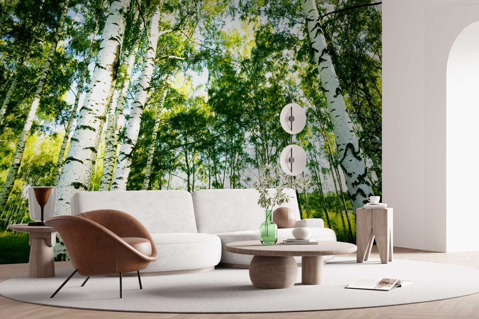 Fototapeta brzozowy las