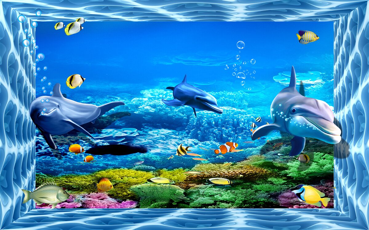 Fototapeta delfiny w wodnym zoo