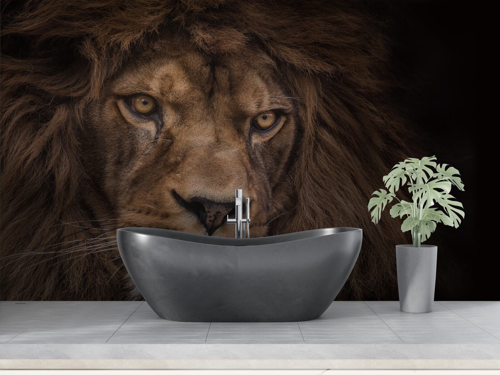 Fototapeta Ściana i lew