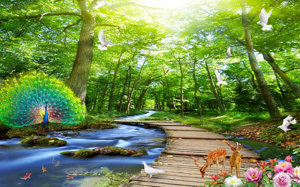 Fototapeta stworzenia leśne