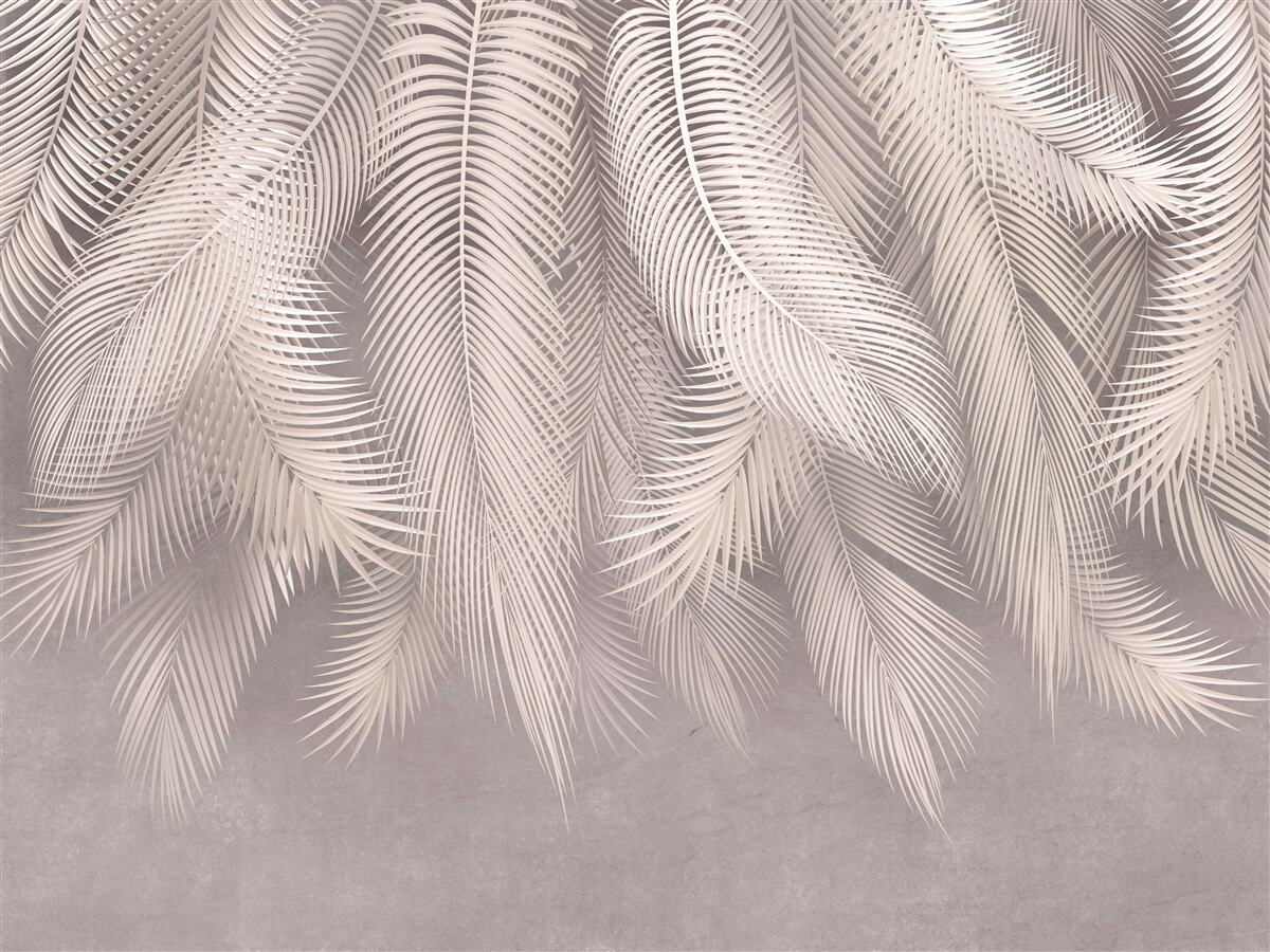 Fototapeta tapeta, pióro i różowy kolor