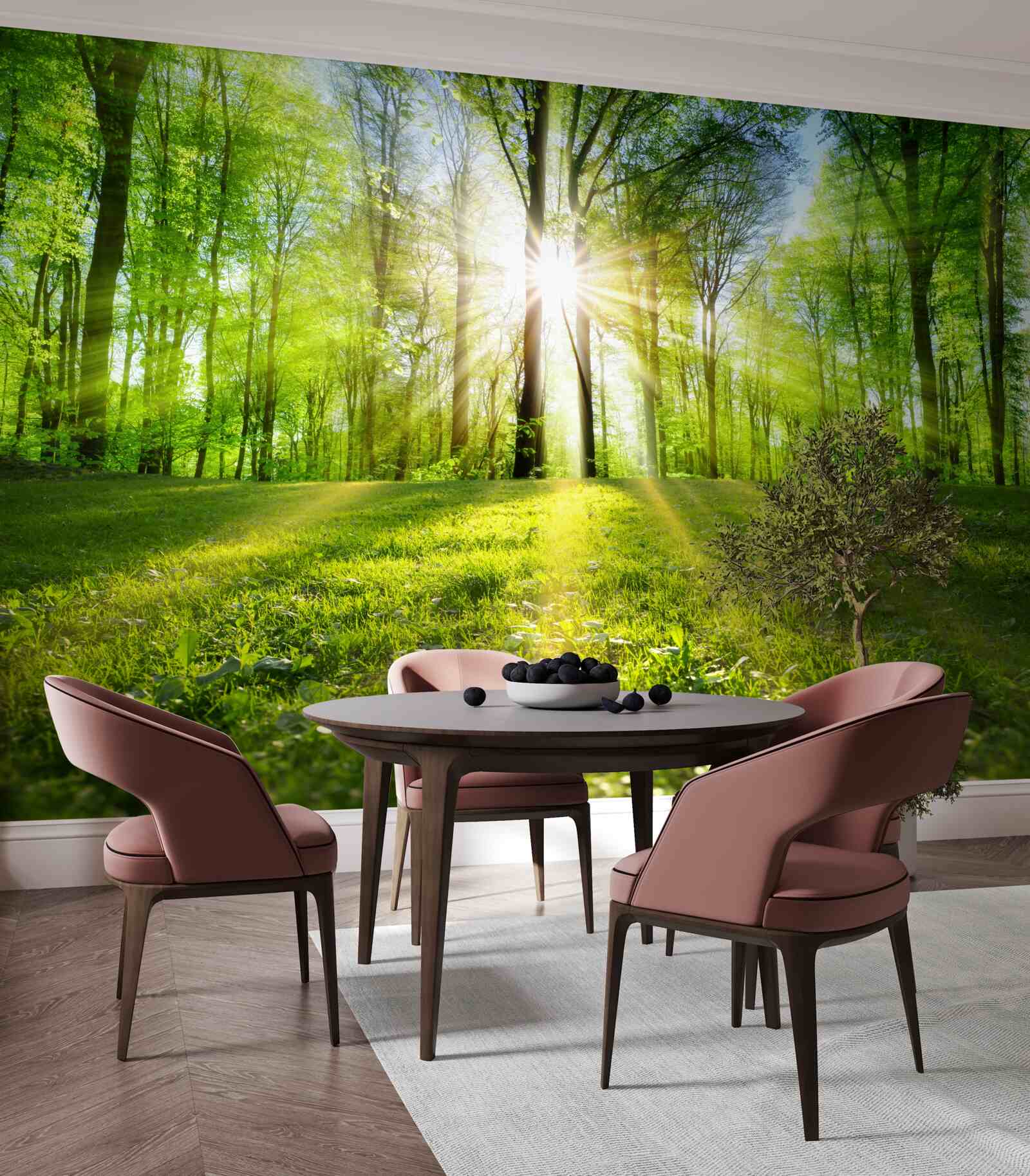 Fototapeta promienie słońca przenikają przez drzewa