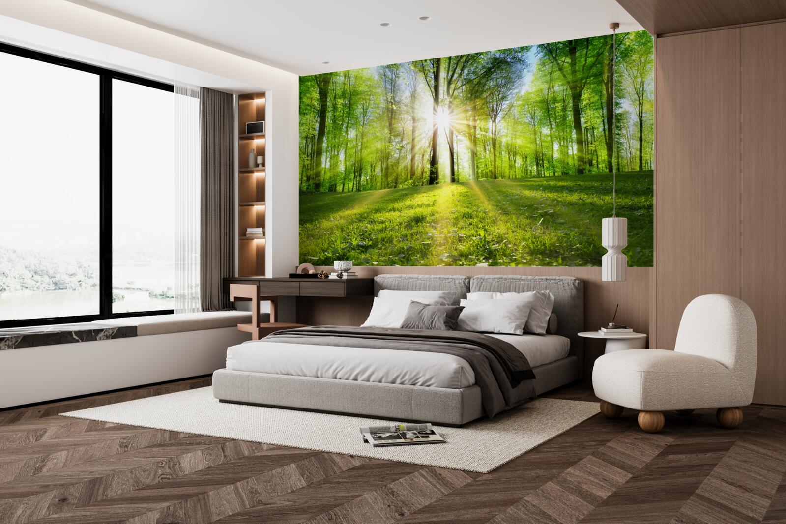 Fototapeta promienie słońca przenikają przez drzewa