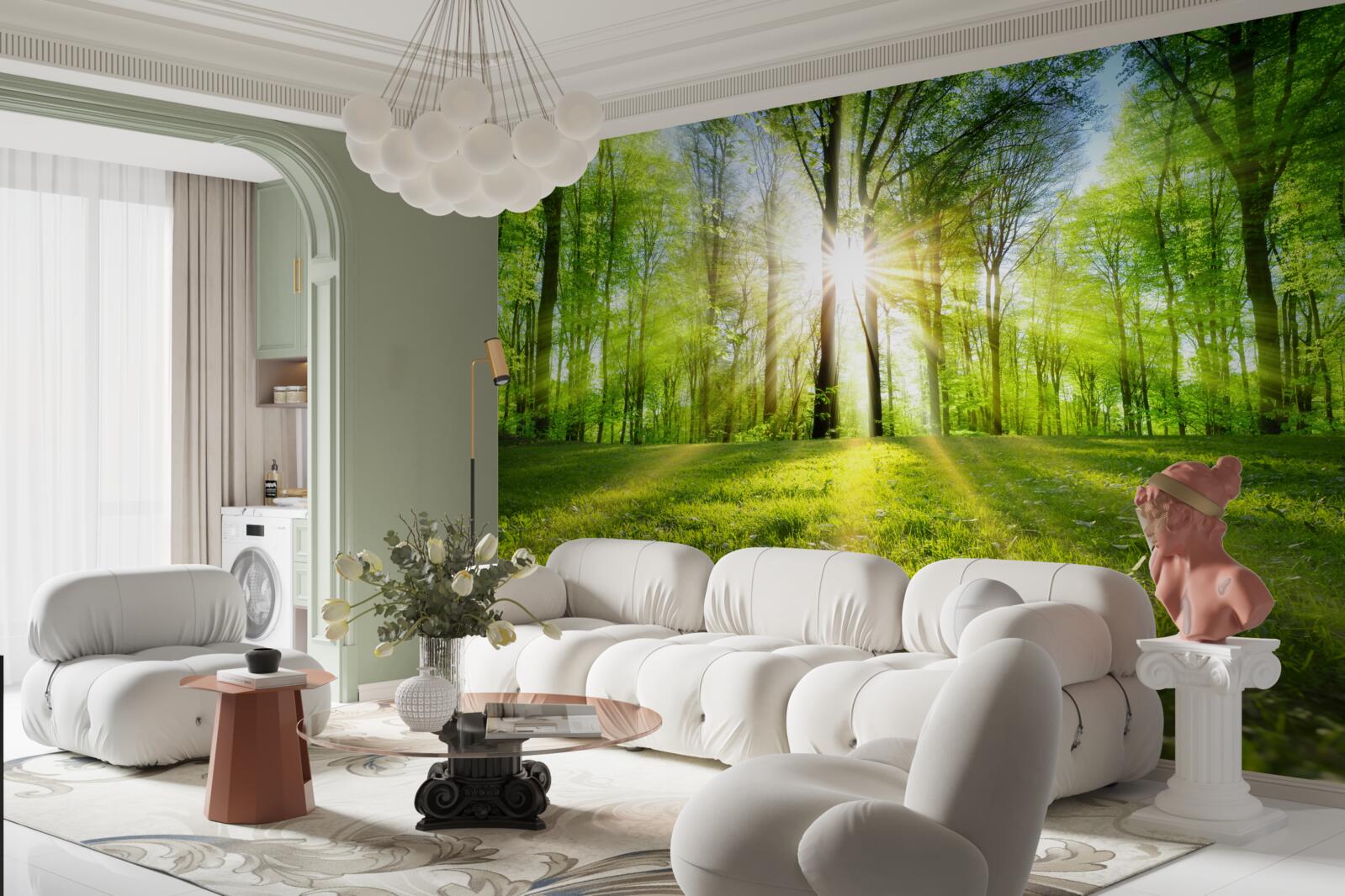 Fototapeta promienie słońca przenikają przez drzewa