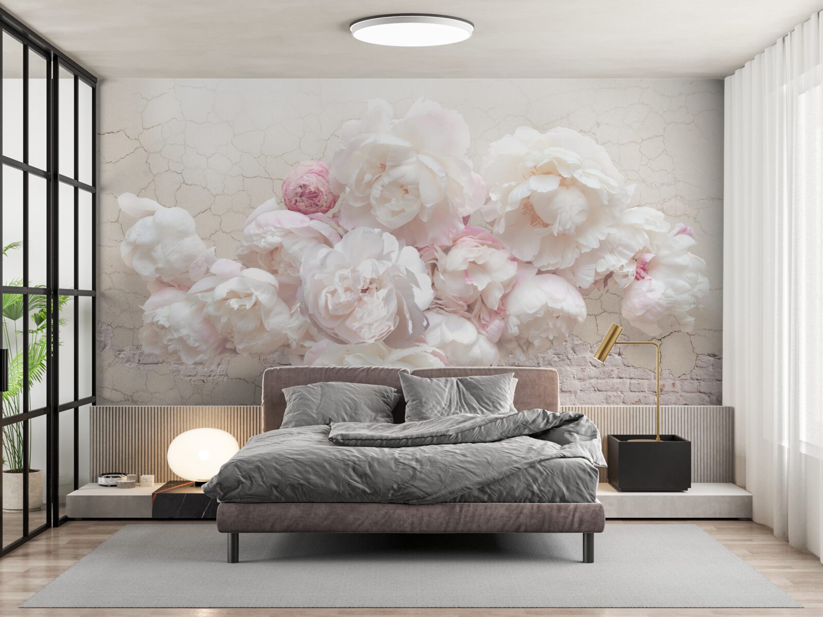 Fototapeta Śnieżnobiałe piwonie, pieszczące z czułością