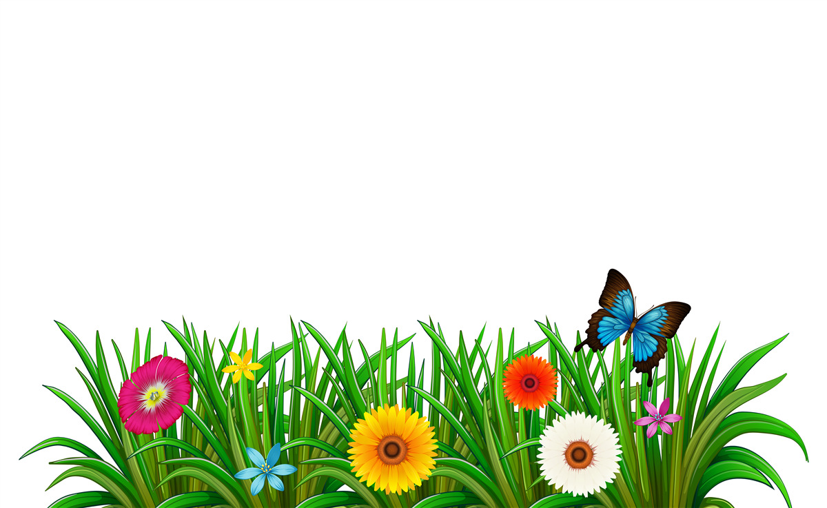 Fototapeta motyl siedzi na trawie z gerberami