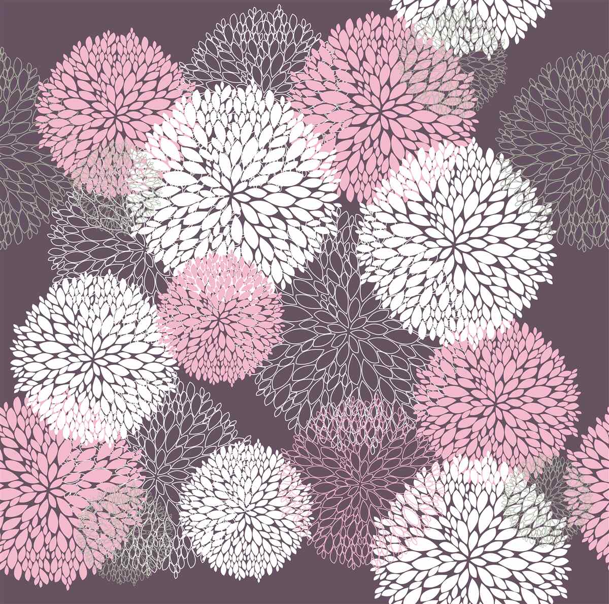 Fototapeta pąki mniszka lekarskiego występują w kolorze białym, różowym i szarym