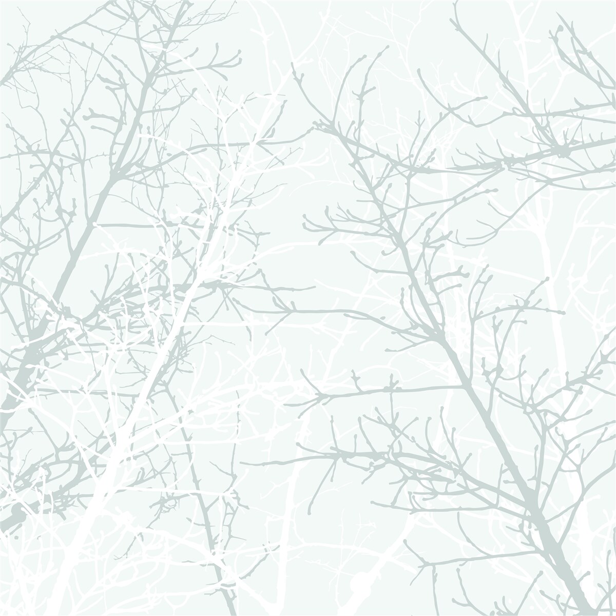 Fototapeta cienkie gałęzie drzew jesienią