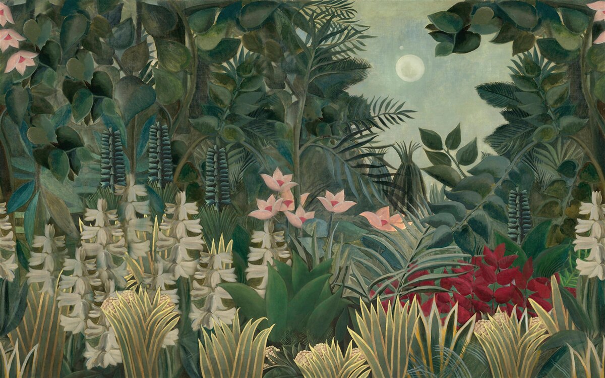 Fototapeta księżyc świeci na nocnym niebie nad zielonym lasem tropikalnym