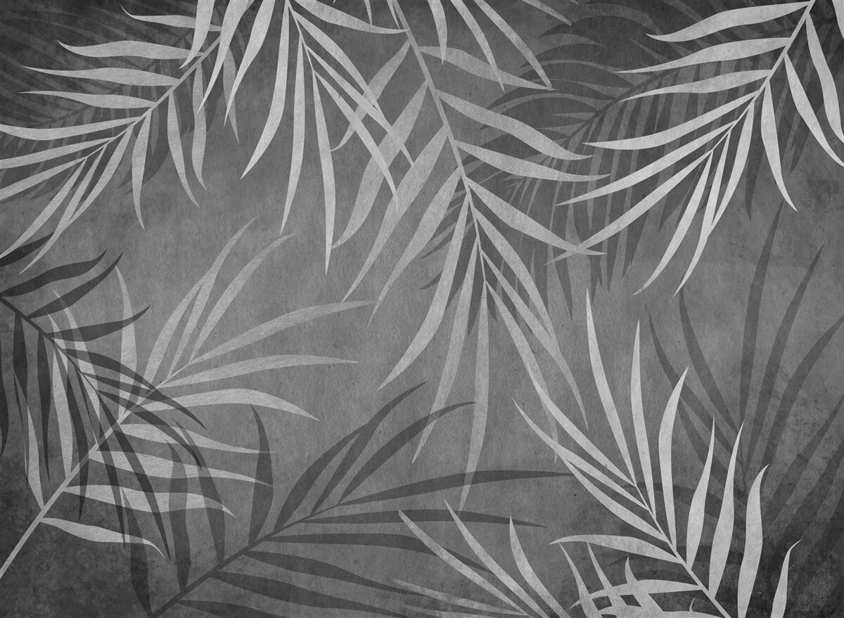 Fototapeta nocna paproć