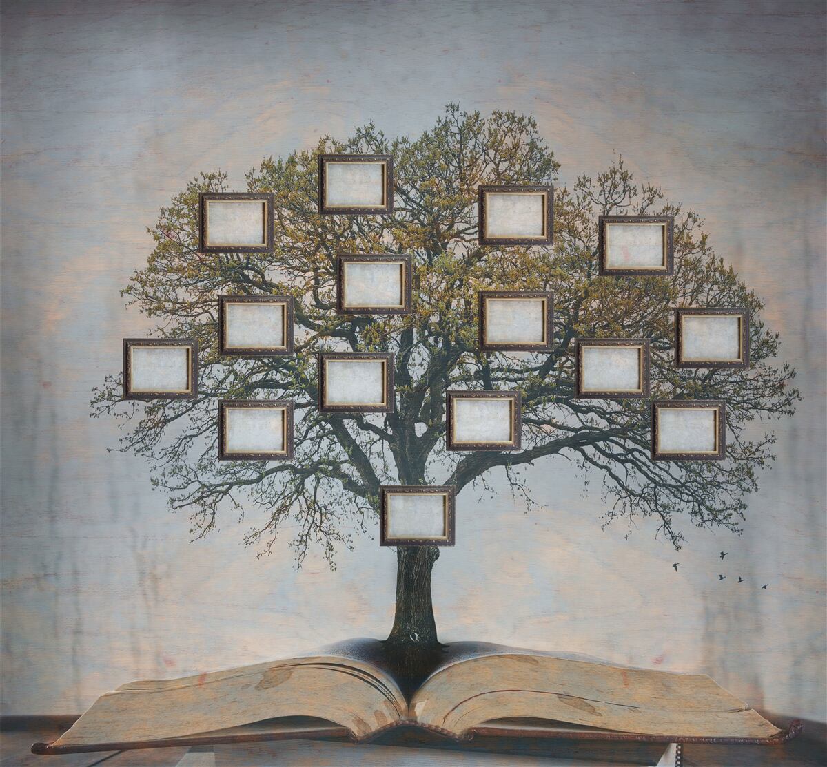 Fototapeta drzewo genealogiczne bez obrazów