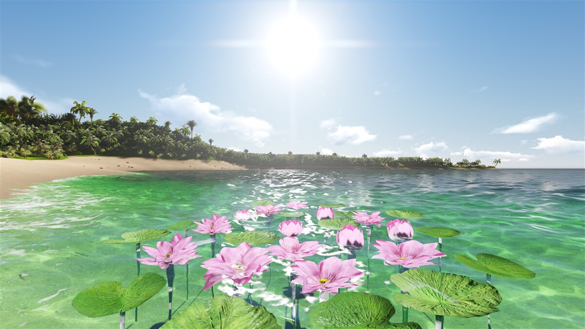 Fototapeta różowe lotosy na powierzchni wody