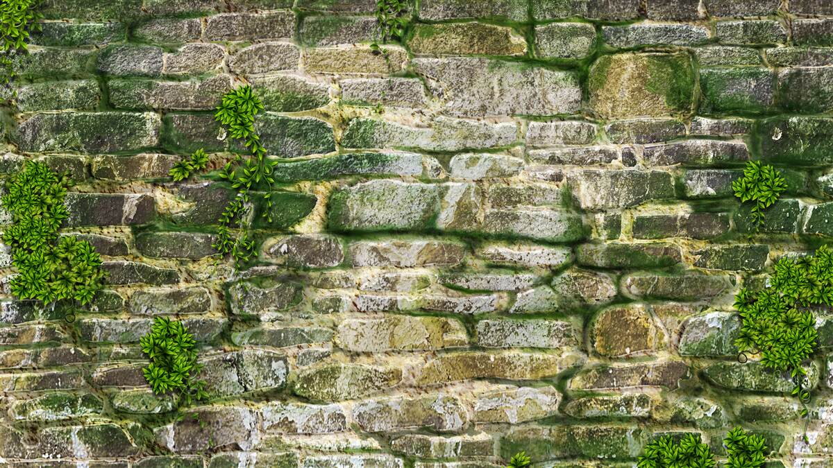 Fototapeta stary kamień pokryty mchem