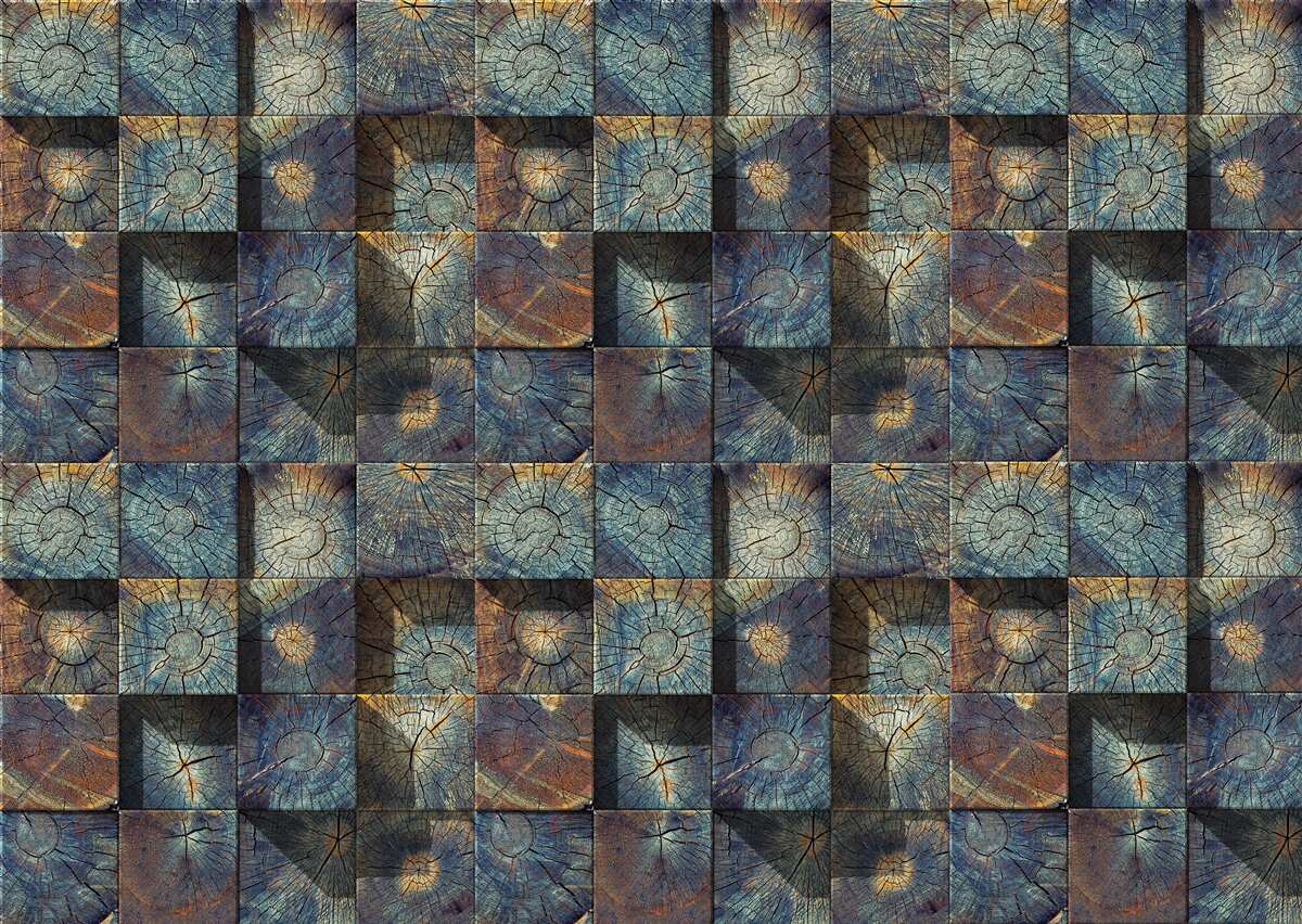 Fototapeta małe sadzonki drzew