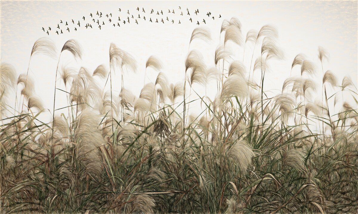 Fototapeta rośliny o puszystej teksturze