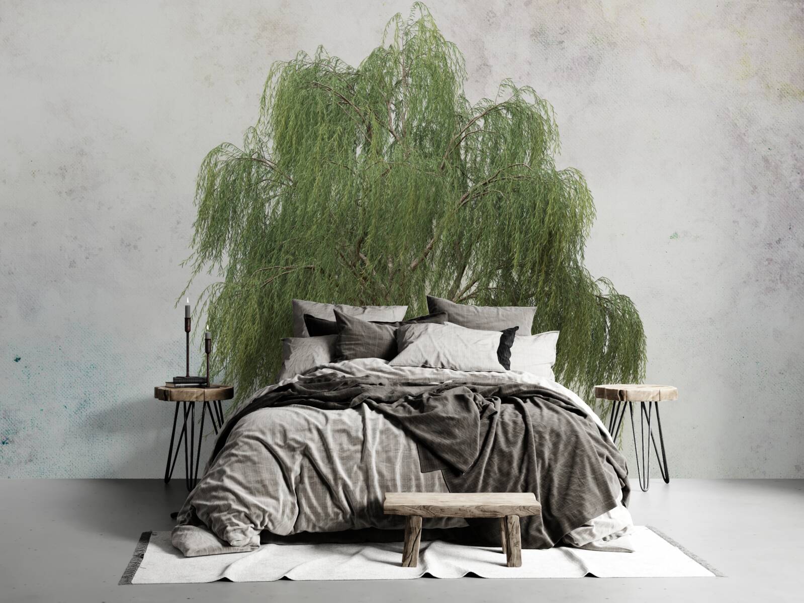 Fototapeta wierzba płacząca