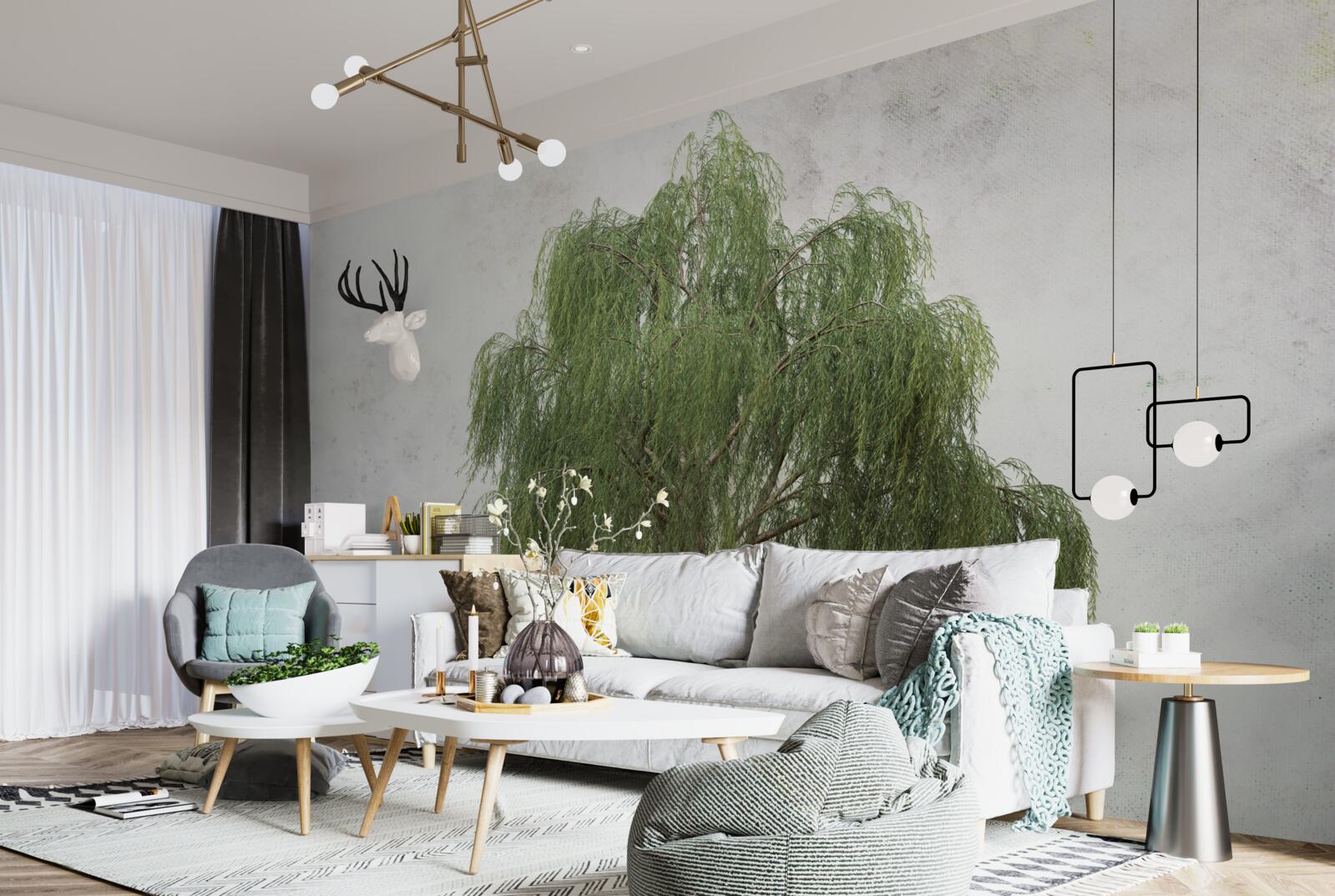 Fototapeta wierzba płacząca