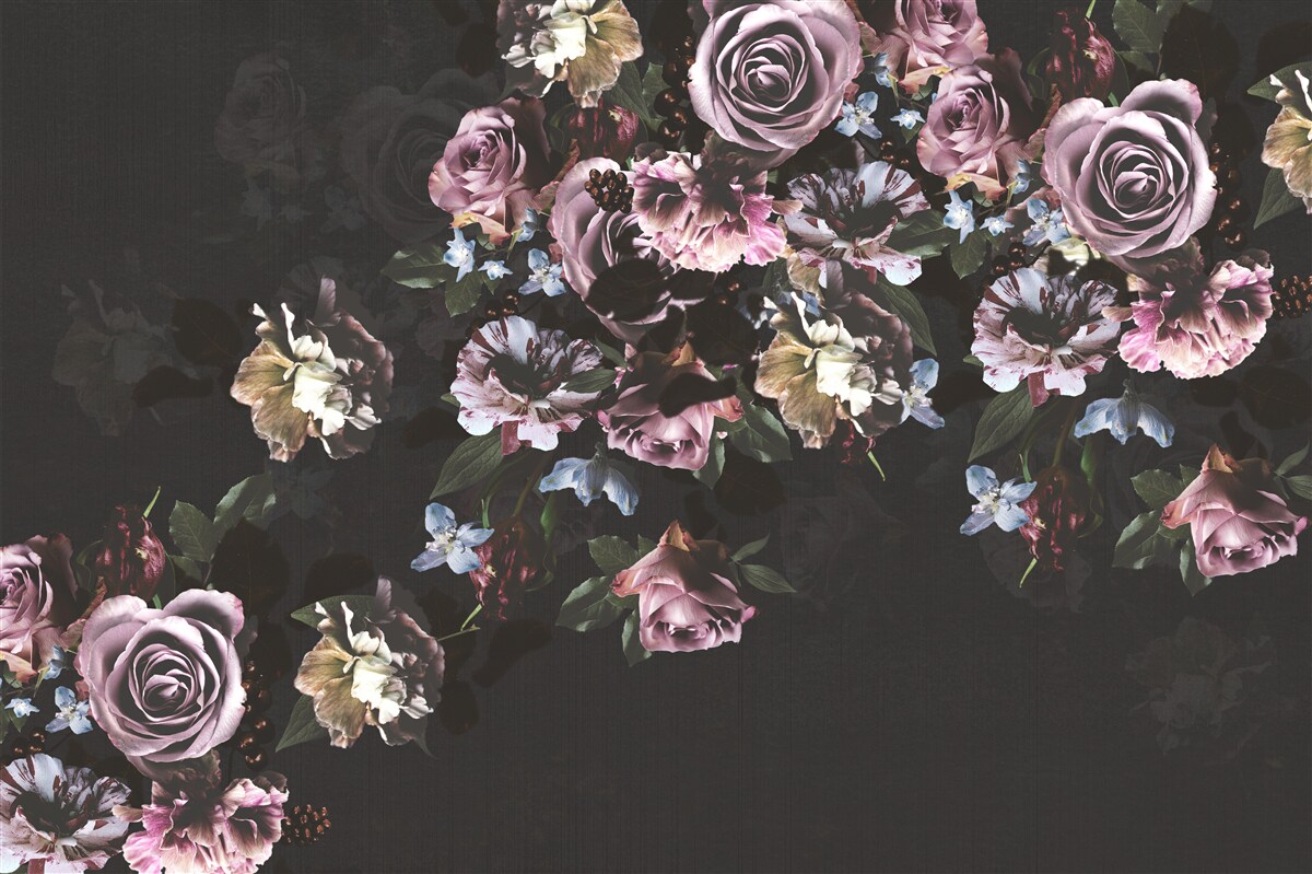 Fototapeta różowe kwiaty na czarnym tle