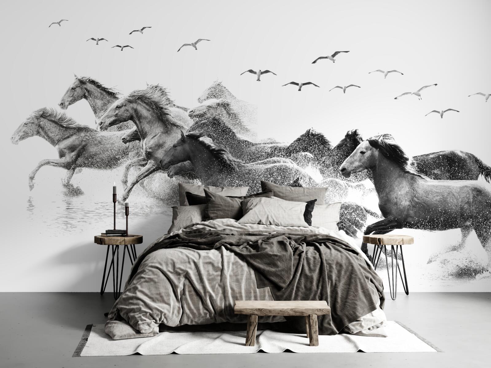 Fototapeta wiele galopujących koni