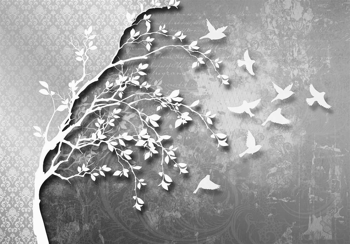 Fototapeta zarys wdzięcznych drzew i ptaków