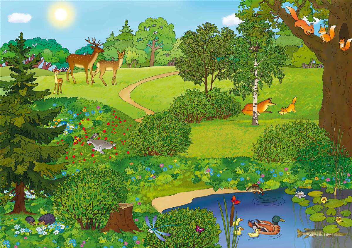 Fototapeta zwierzęta spacerują po leśnej polanie