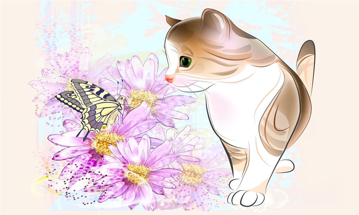 Fototapeta motyl przyciągnął uwagę kota