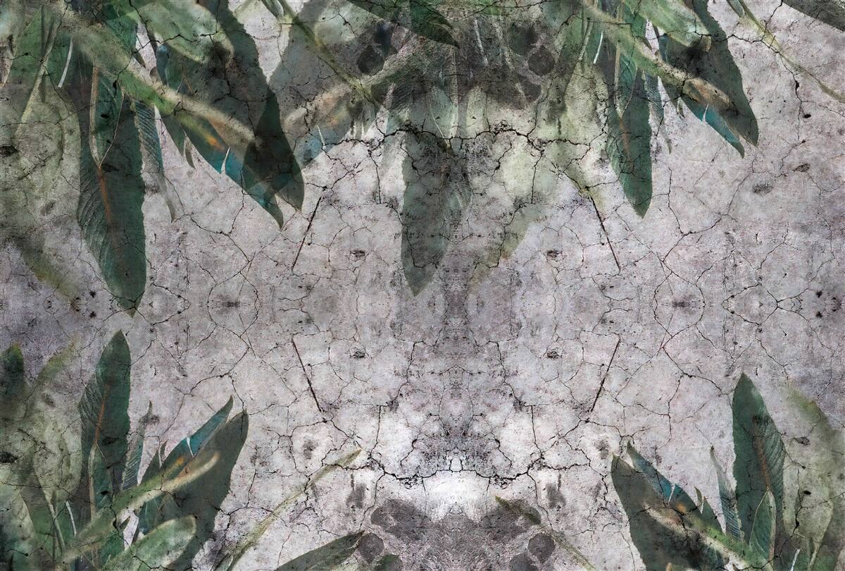 Fototapeta Ściana z liśćmi robić beton