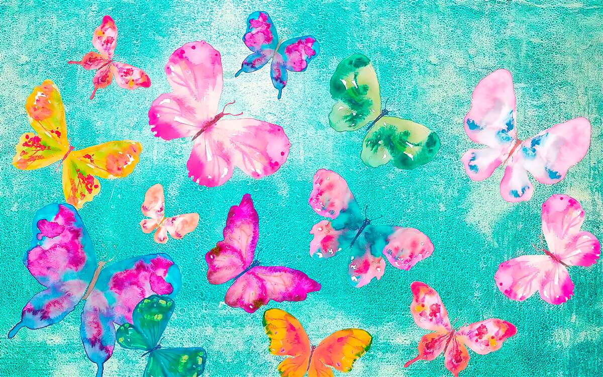 Fototapeta motyle wszystkich kolorów