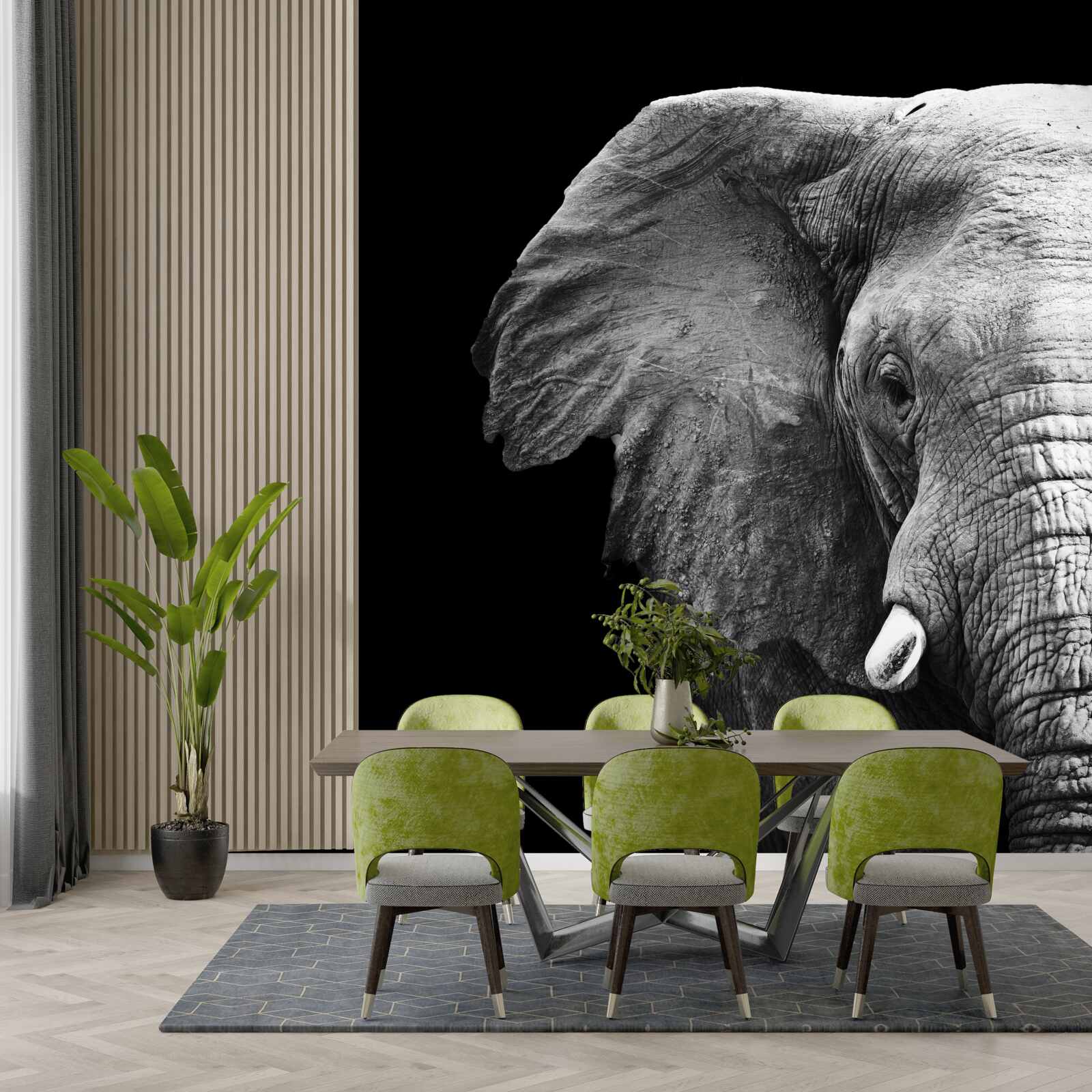 Fototapeta zbliżenie słonia na czarnym tle