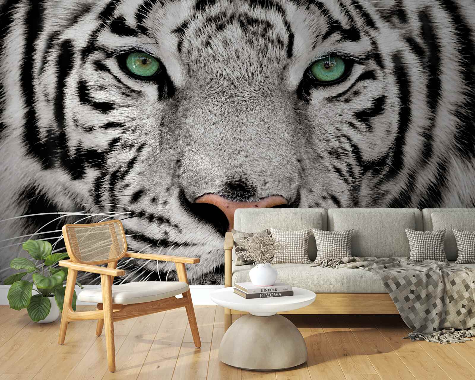 Fototapeta biały tygrys z bliskiej odległości