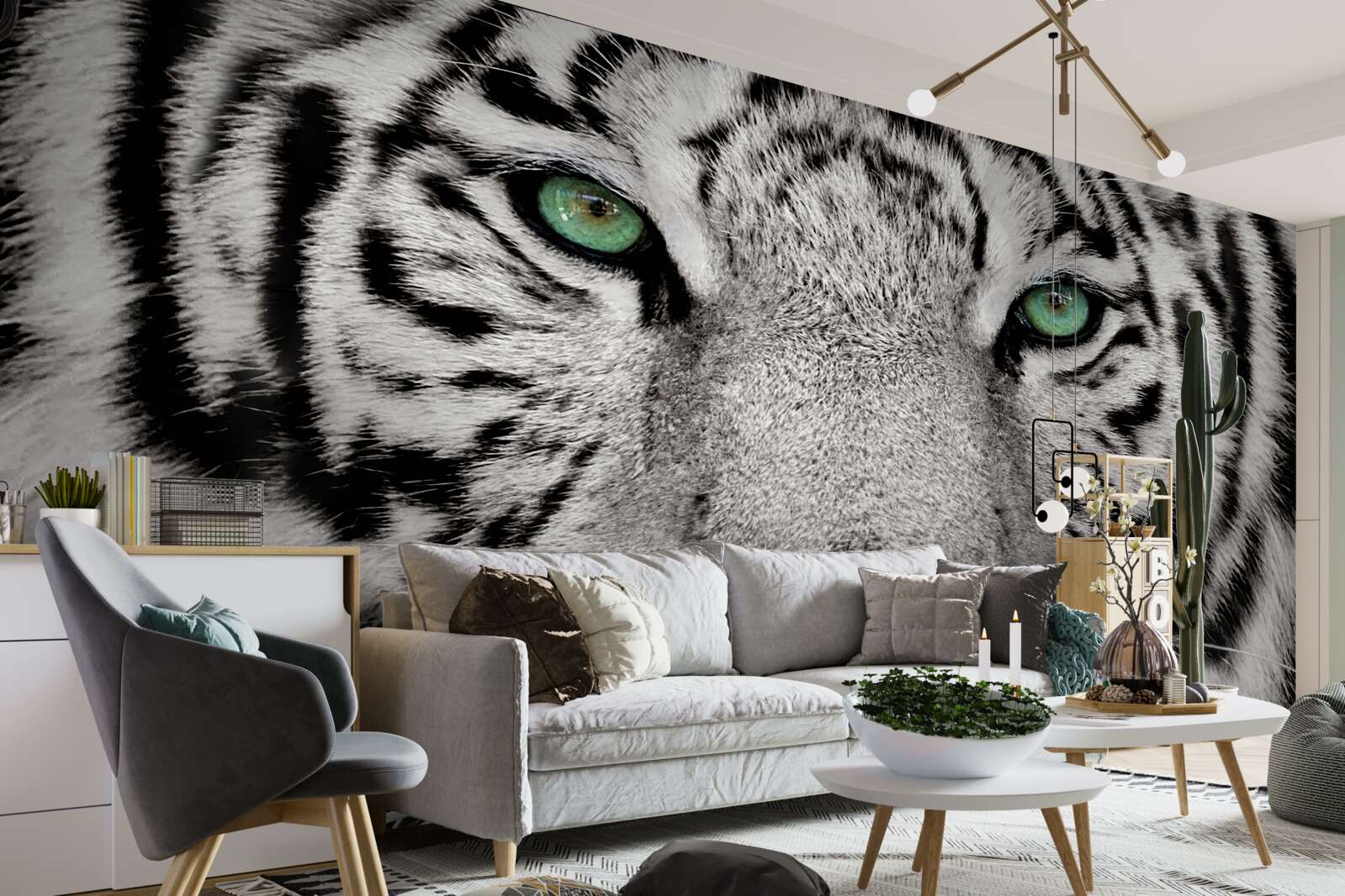 Fototapeta biały tygrys z bliskiej odległości