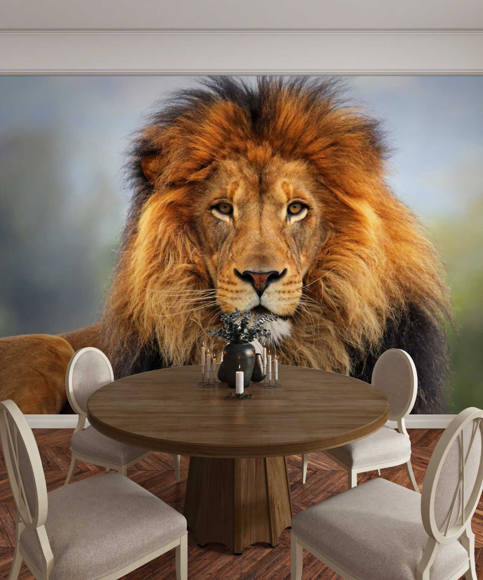 Fototapeta obraz lwa