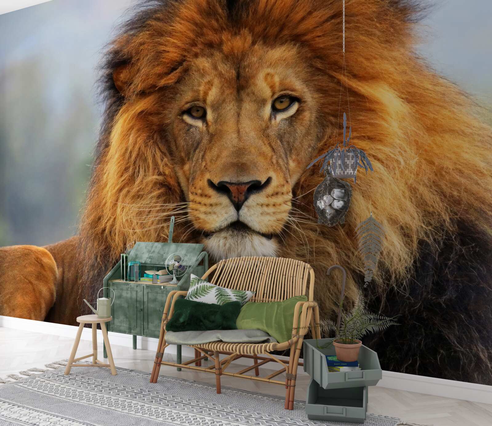 Fototapeta obraz lwa