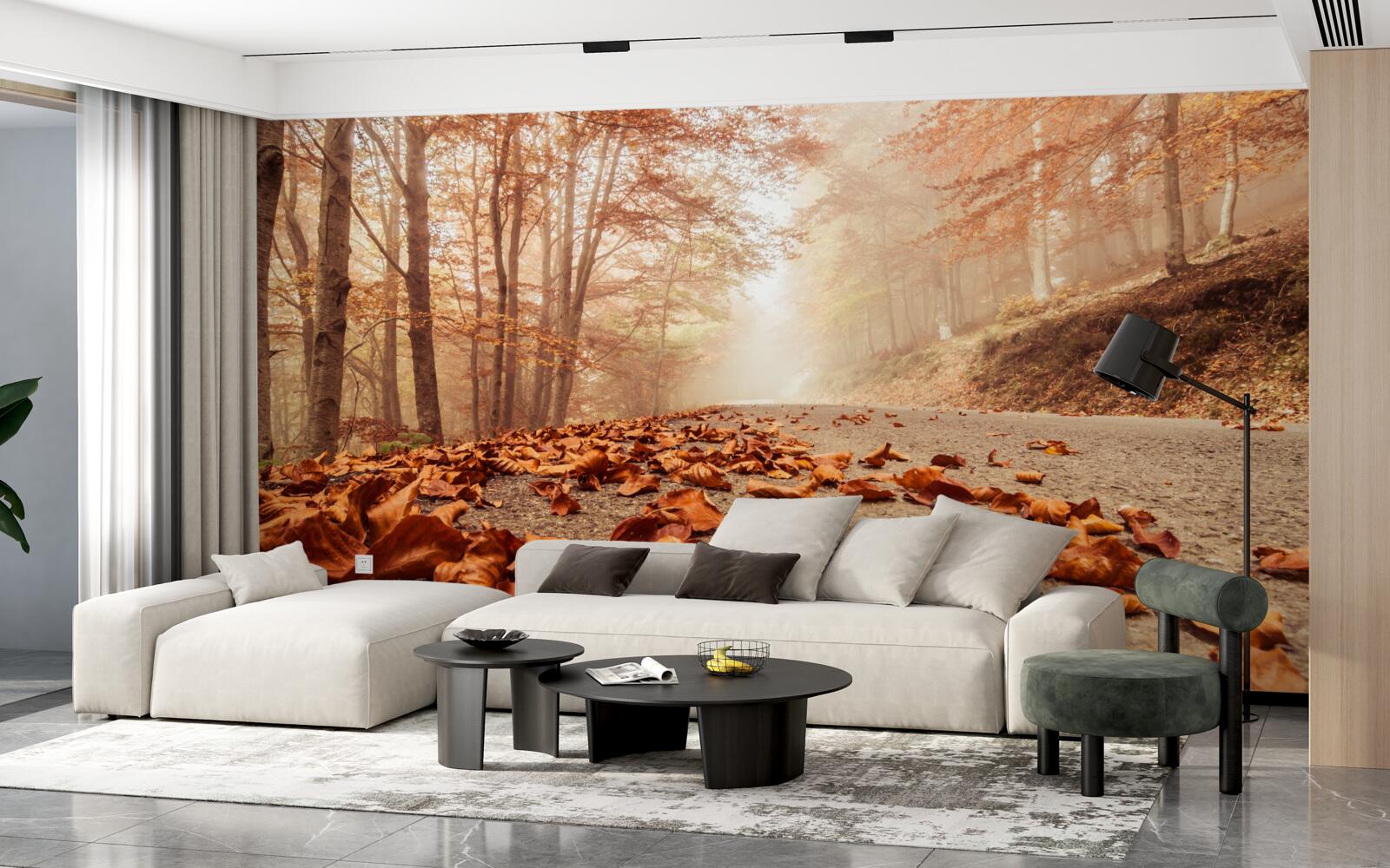 Fototapeta liście leżą jak złoty dywan