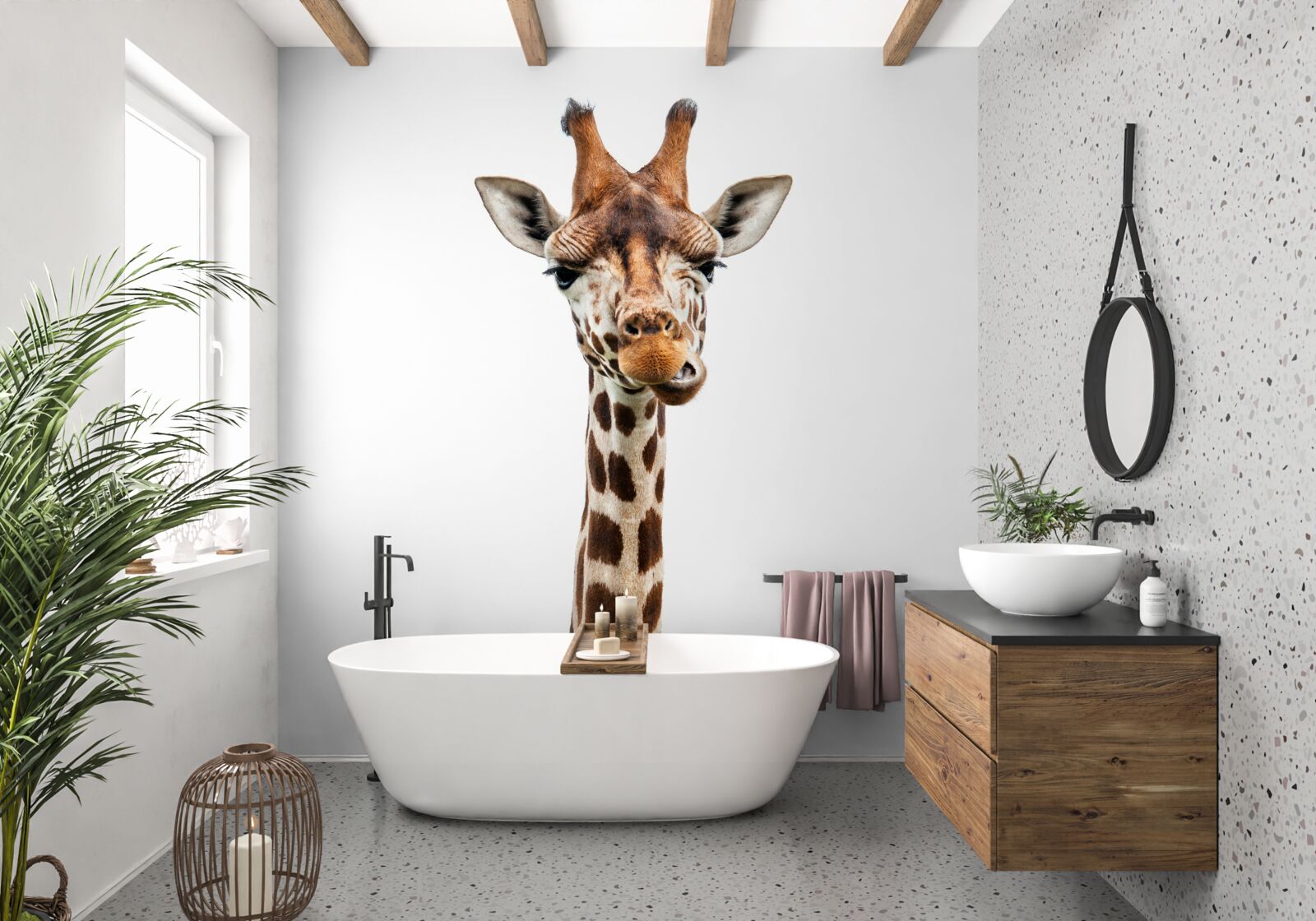 Fototapeta niezwykły wyraz twarzy żyrafy