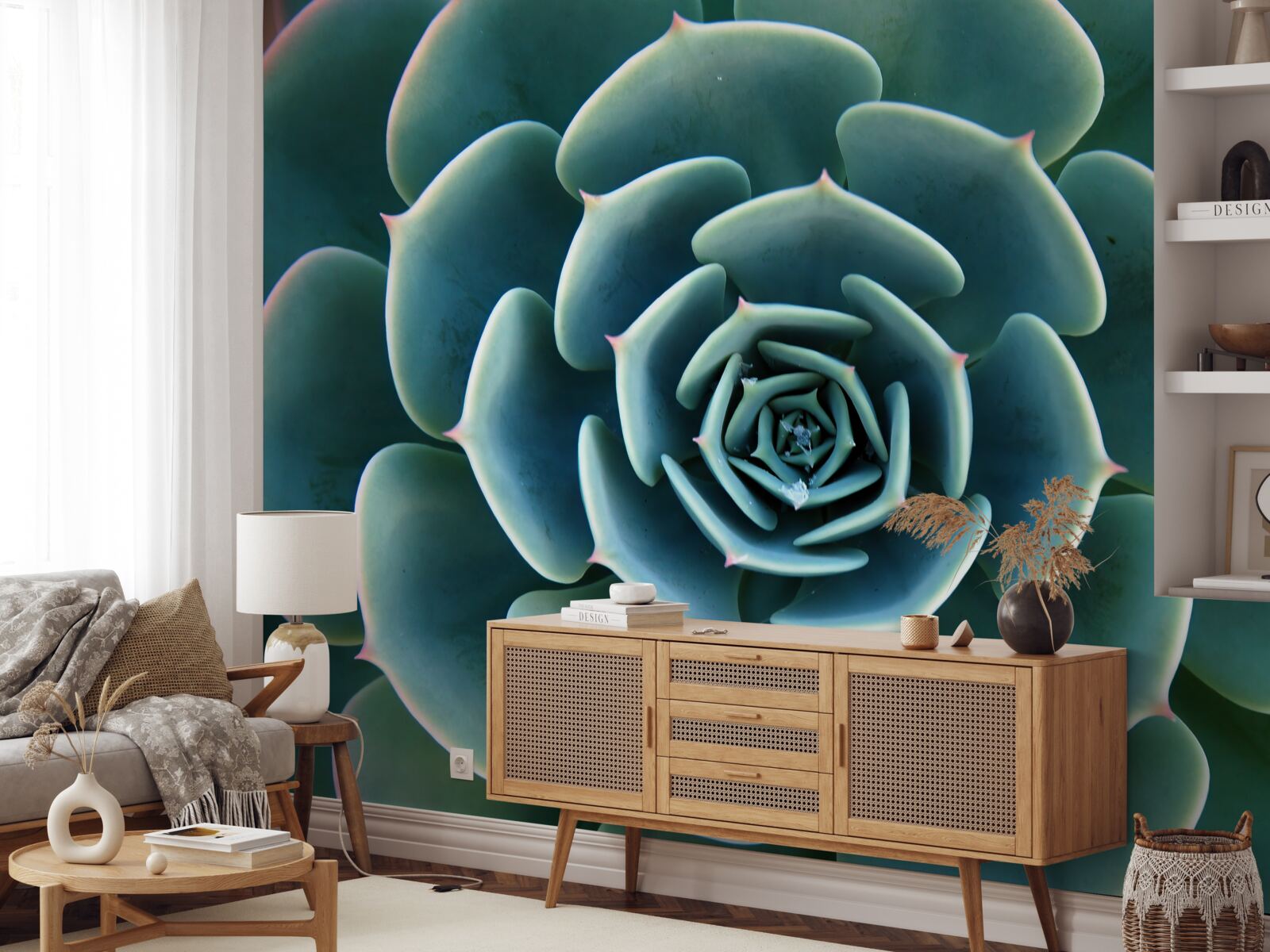 Fototapeta zbliżenie obrazu sukulentu