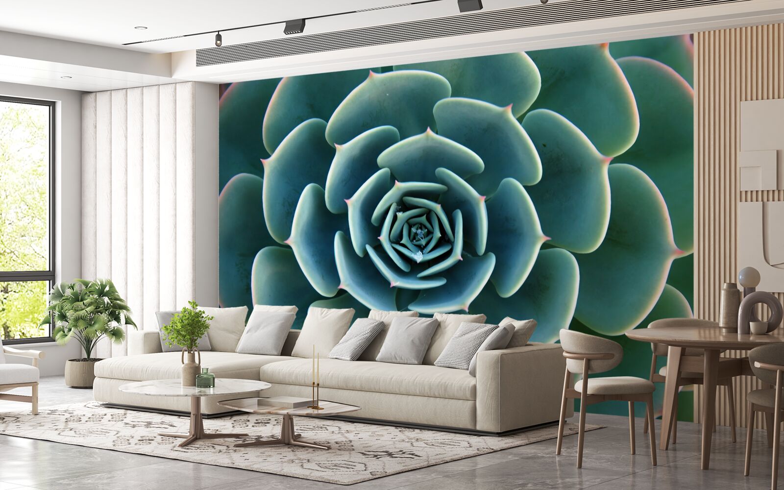 Fototapeta zbliżenie obrazu sukulentu