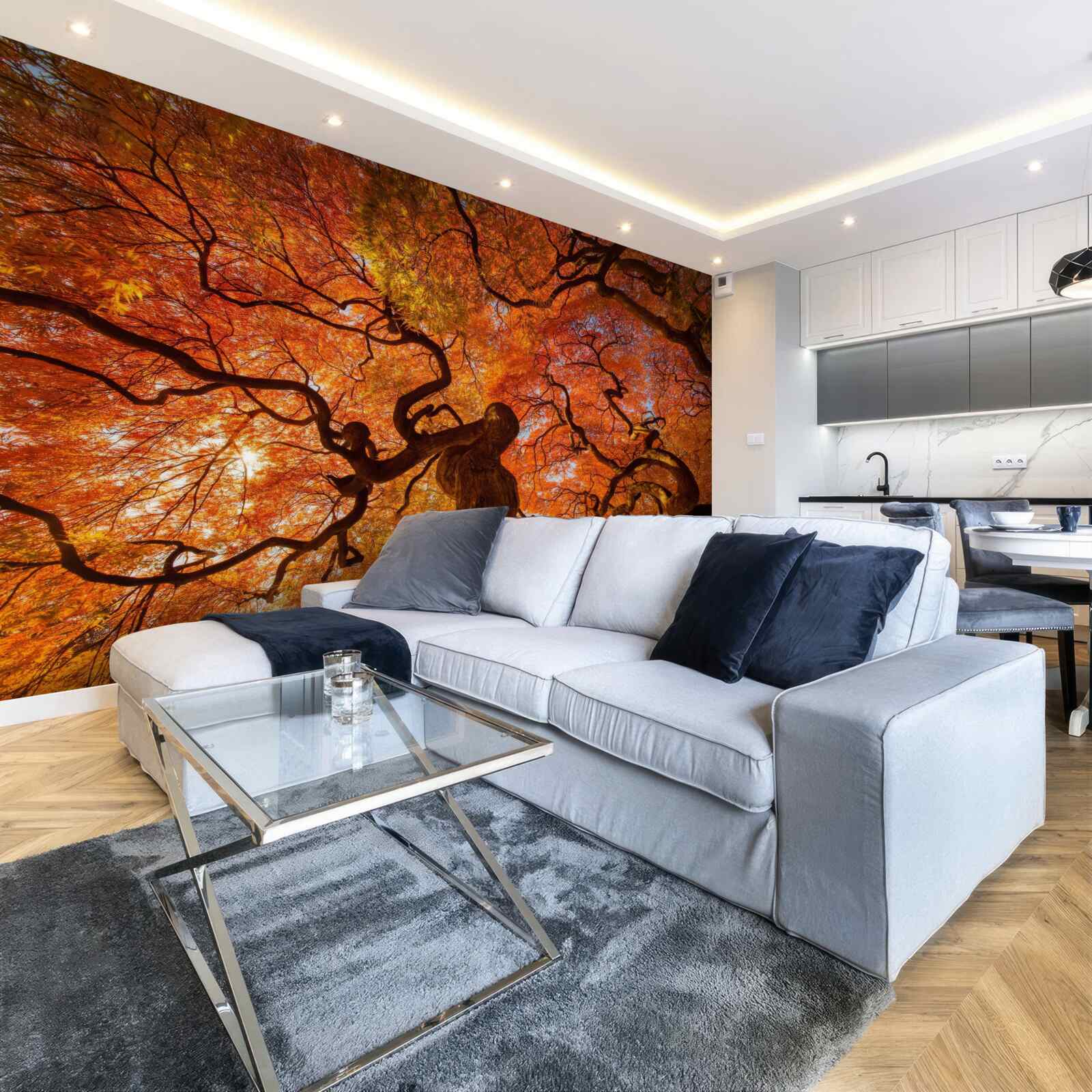 Fototapeta widok z dołu na drzewo jesienią