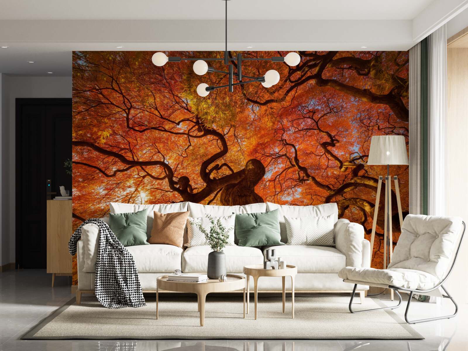 Fototapeta widok z dołu na drzewo jesienią