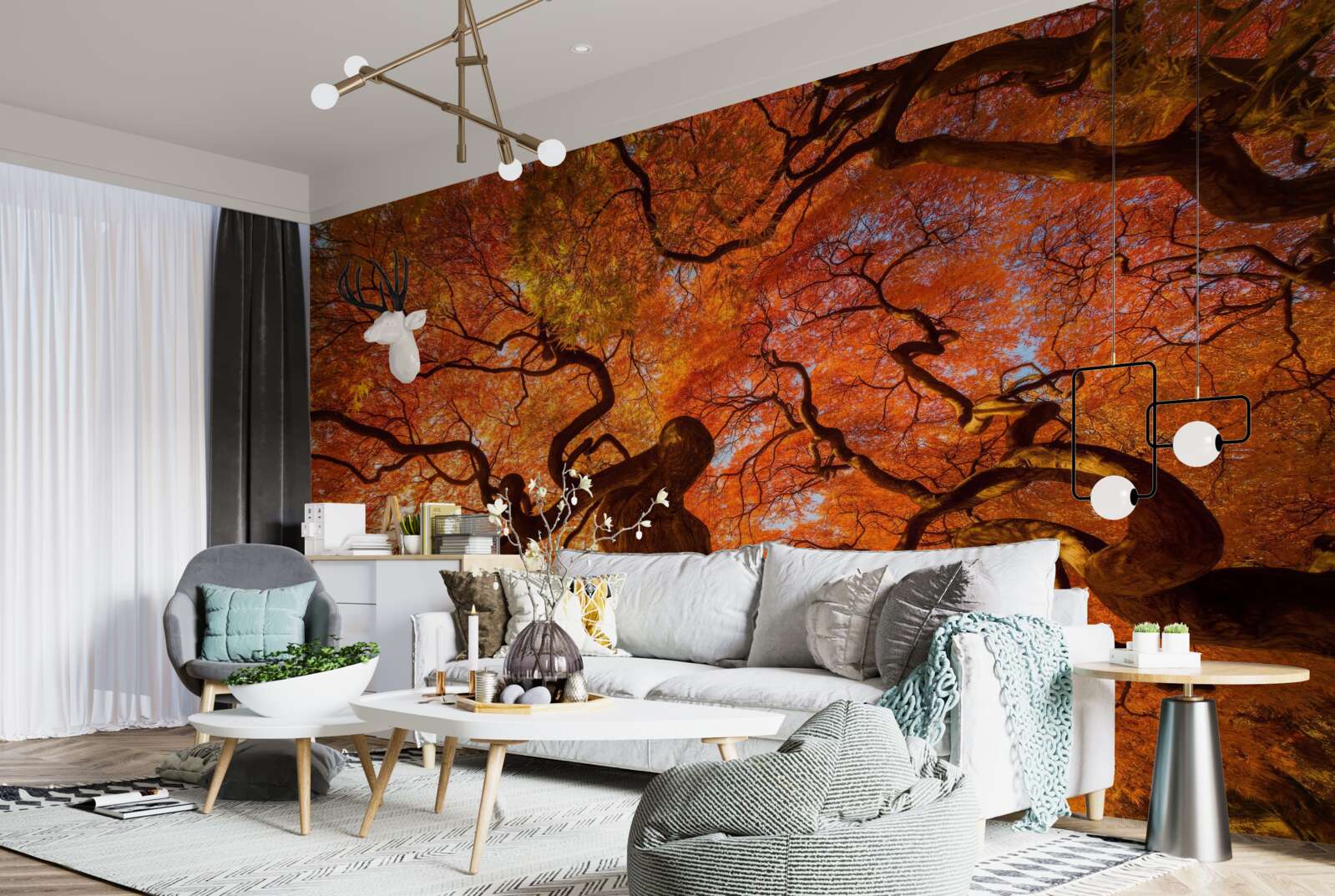 Fototapeta widok z dołu na drzewo jesienią