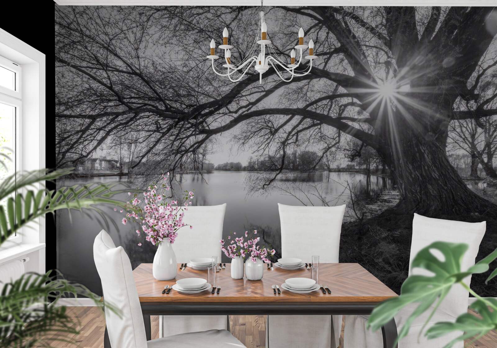 Fototapeta promień słońca przebija się przez gałęzie drzewa w pobliżu wody