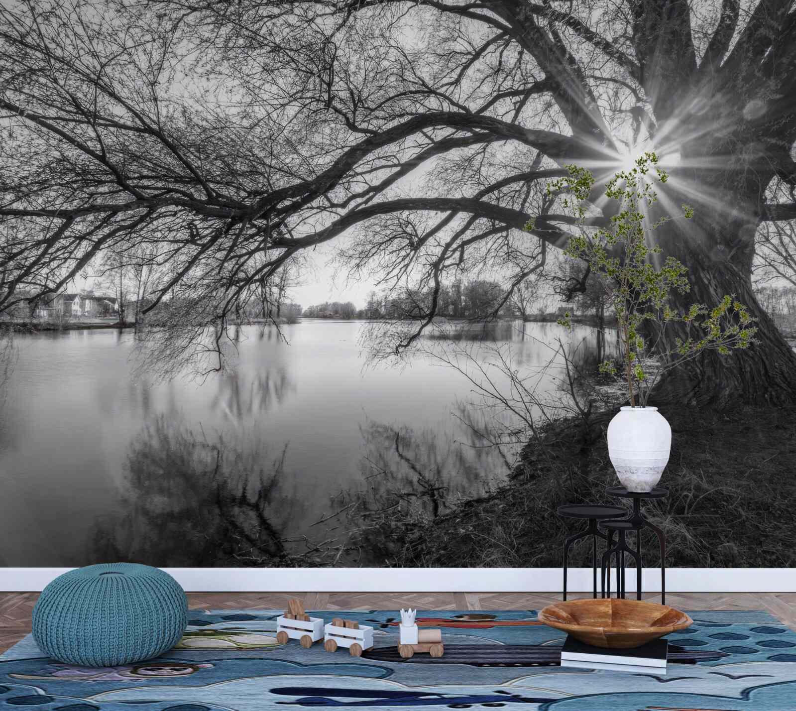 Fototapeta promień słońca przebija się przez gałęzie drzewa w pobliżu wody