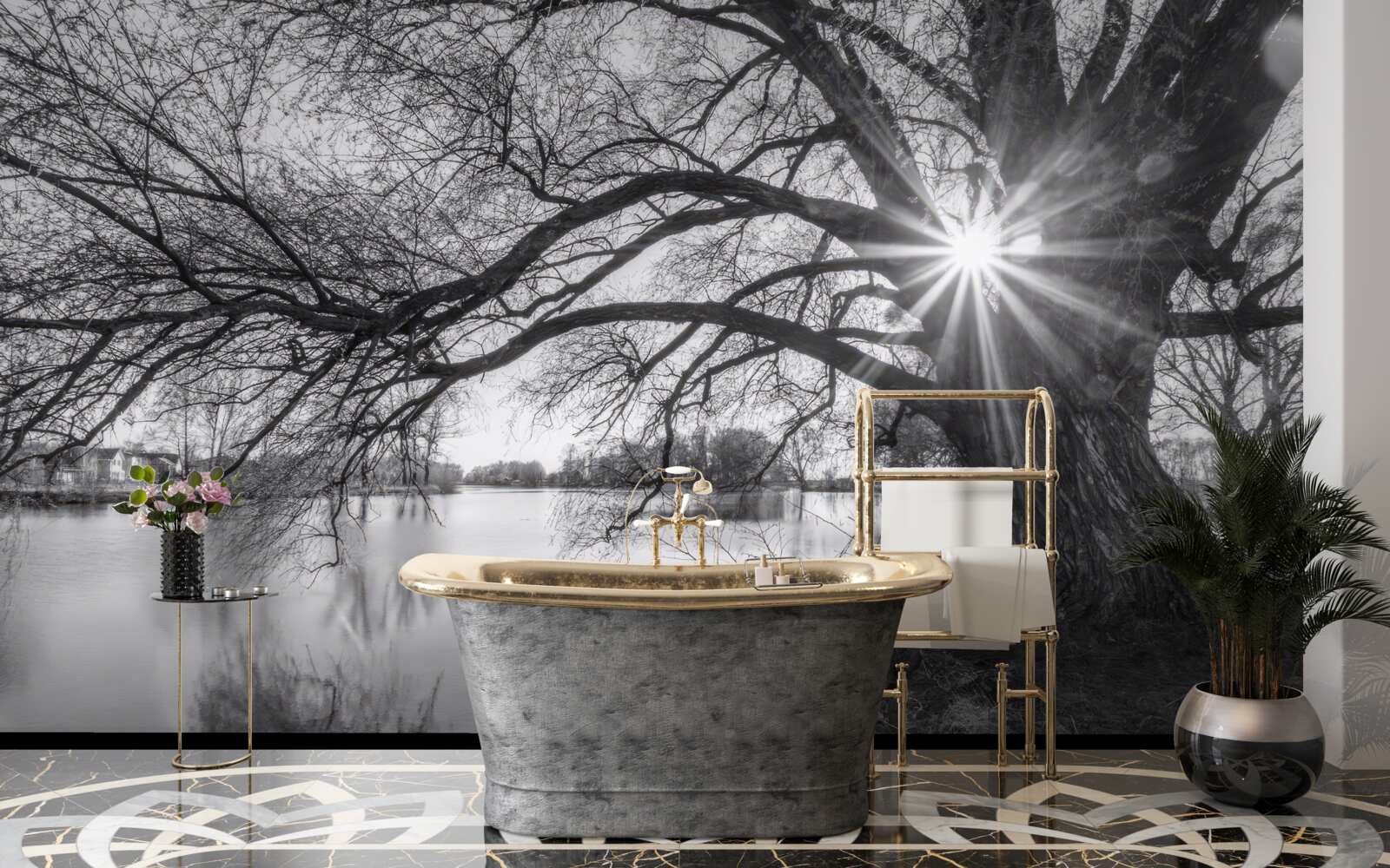 Fototapeta promień słońca przebija się przez gałęzie drzewa w pobliżu wody