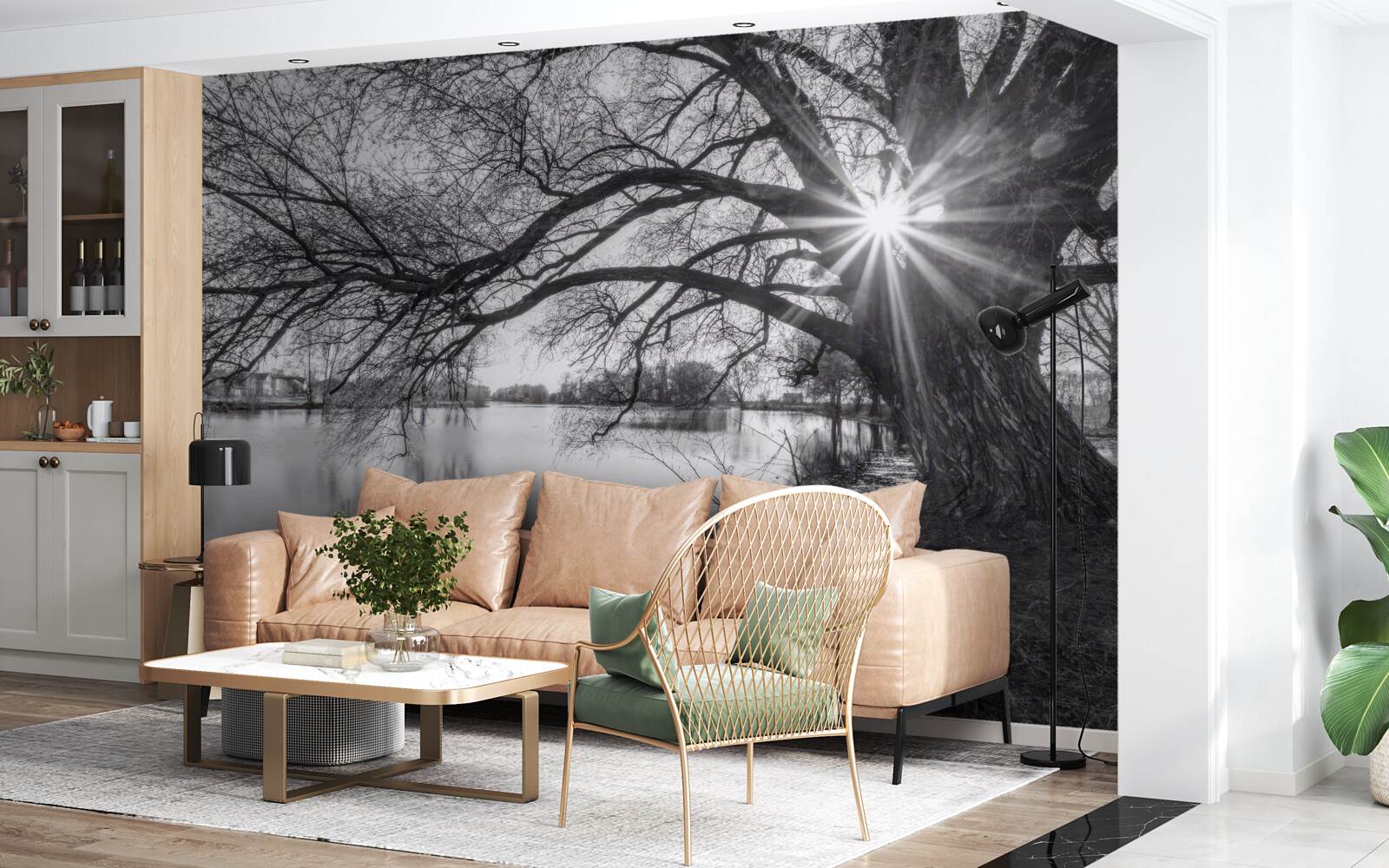 Fototapeta promień słońca przebija się przez gałęzie drzewa w pobliżu wody