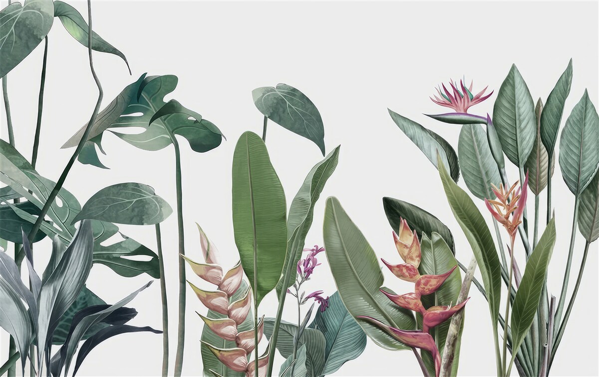 Fototapeta liście różnych roślin tropikalnych