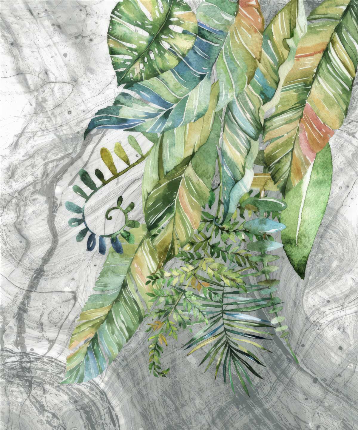 Fototapeta liście różnych typów na szarym tle