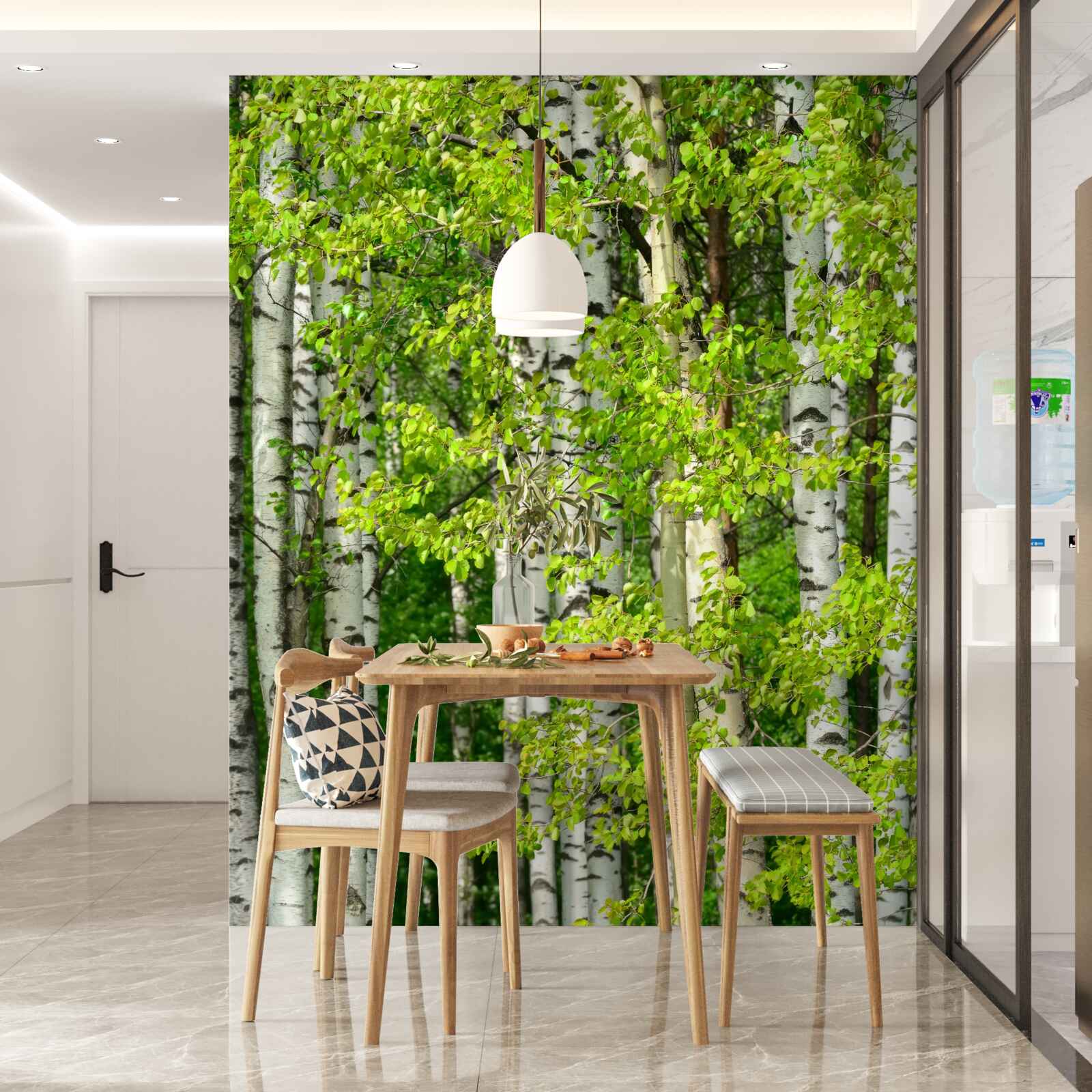 Fototapeta brzozowy las