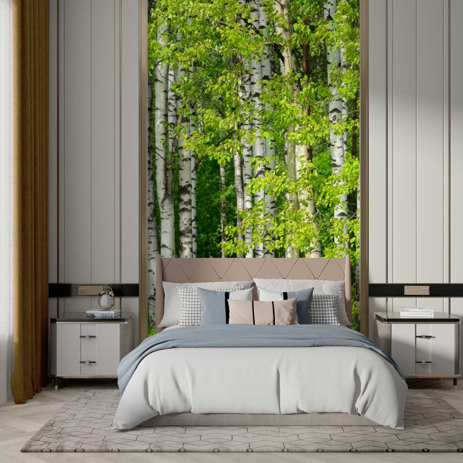 Fototapeta brzozowy las