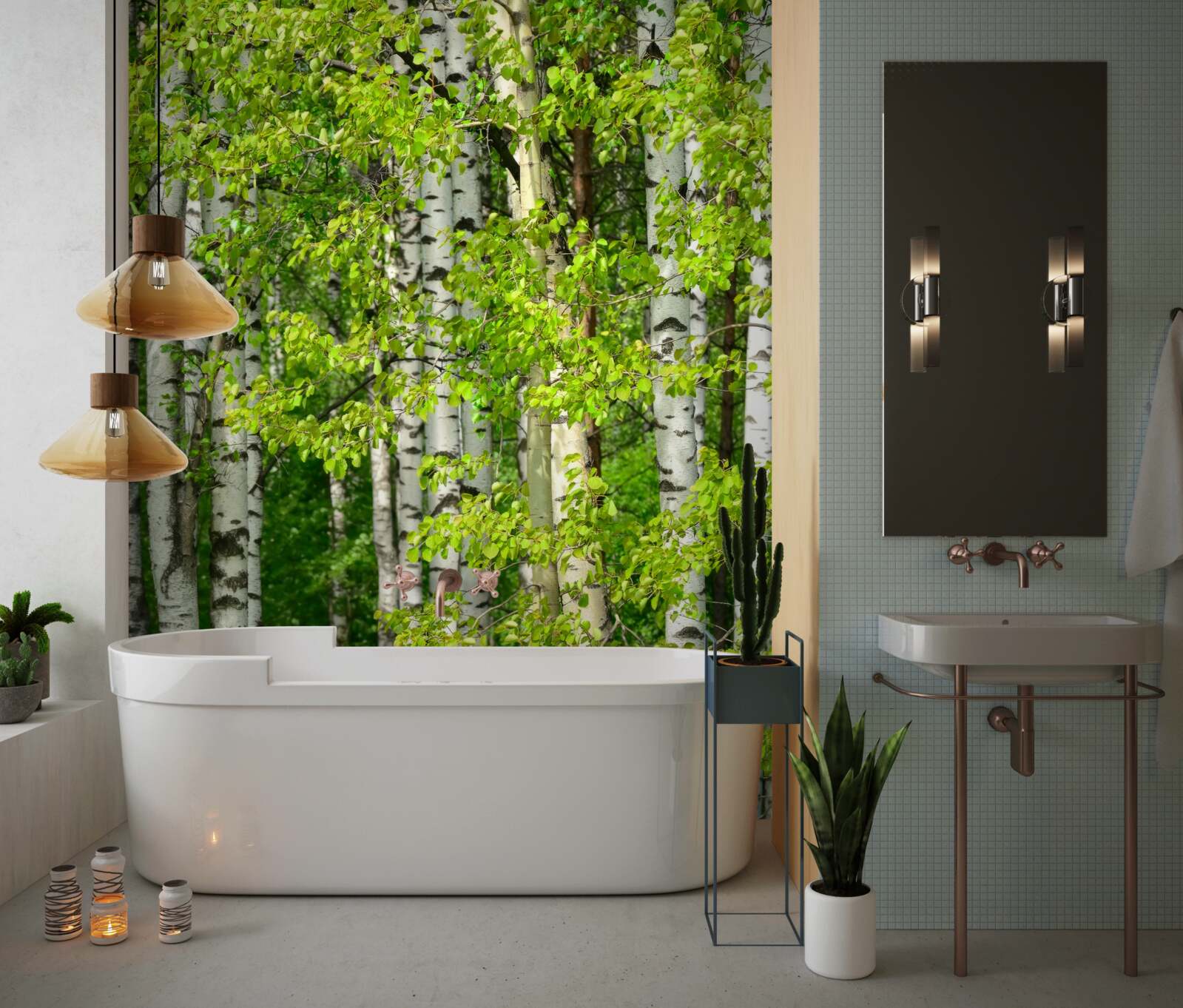 Fototapeta brzozowy las